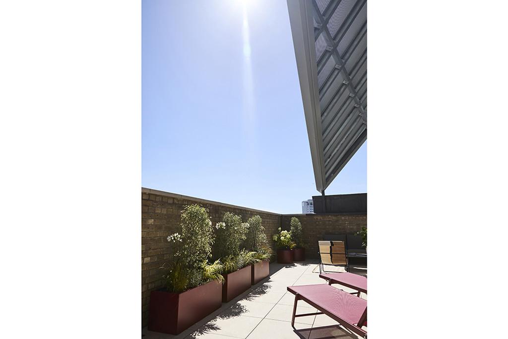 Arclight Lofts Penthouse Terrace flare