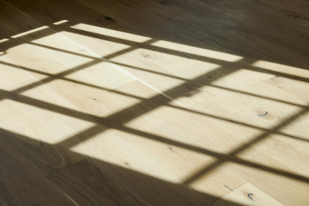 Arclight Lofts Shadow