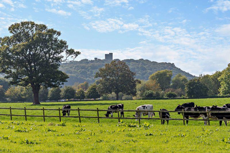 View to Peckforton