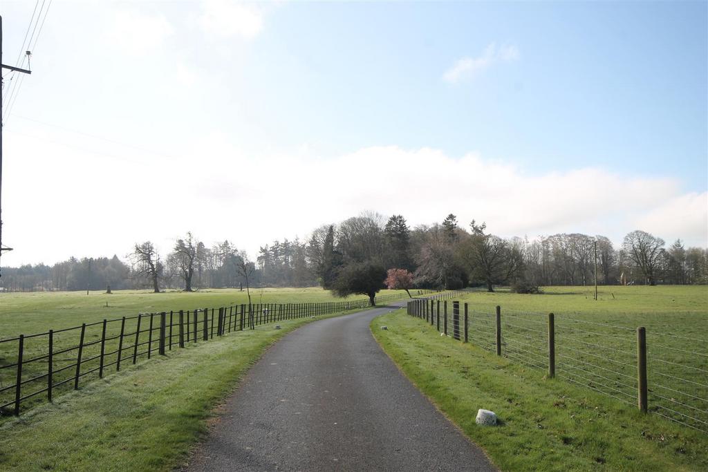 Entrance Road