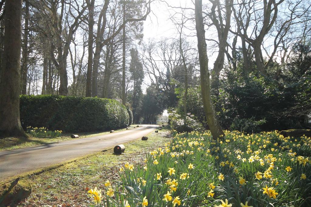 Entrance Road