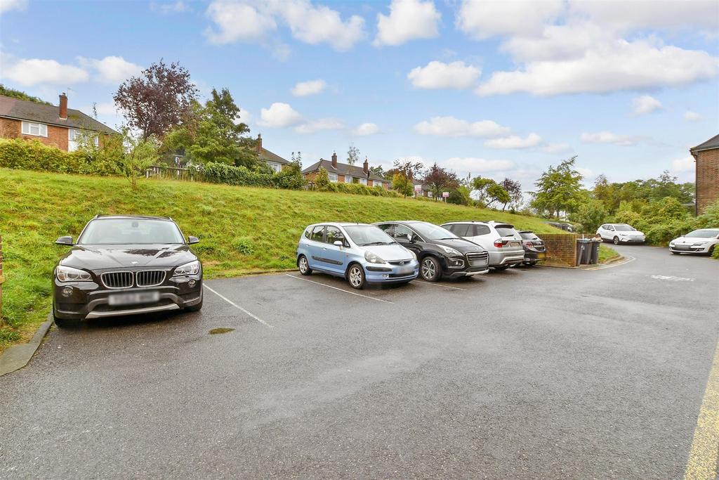 Driveway/Parking