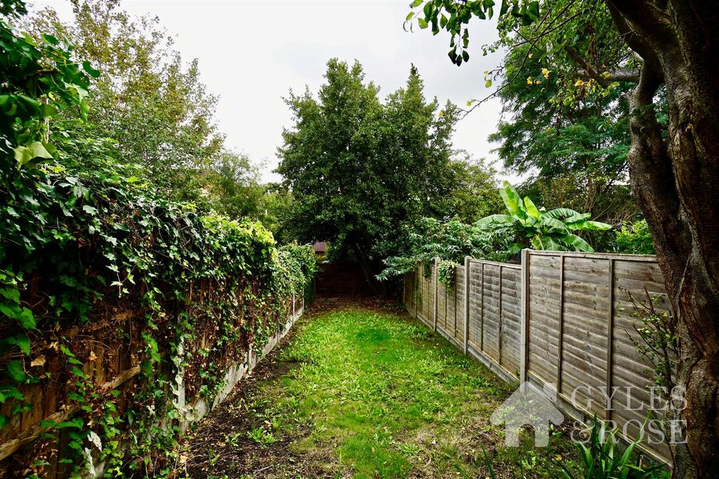 Back garden