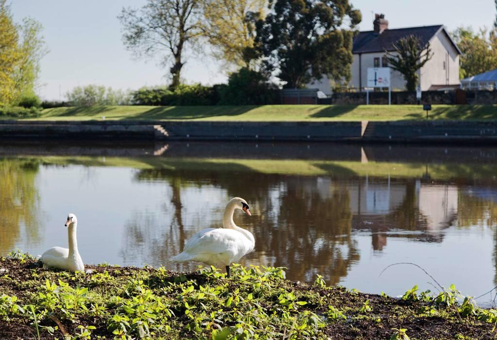 Riverside Walk