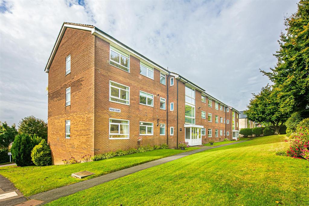 View from front