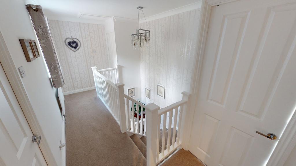 Media image 12