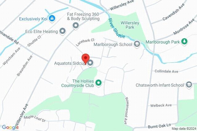 Google Maps Image
