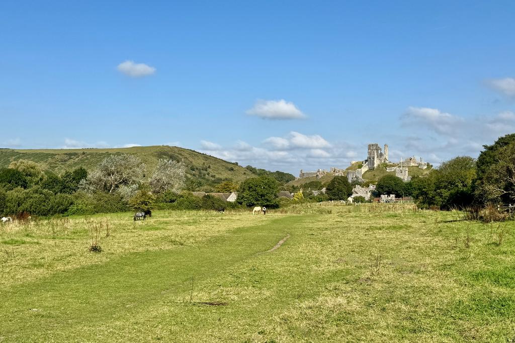 View from Corfe Common to the Castle