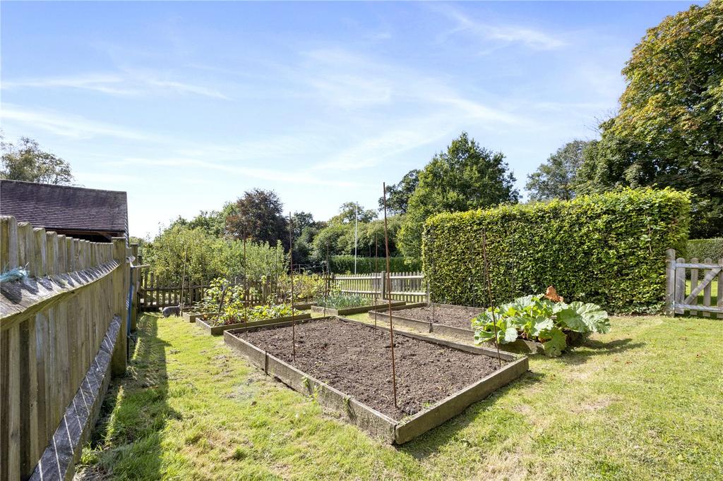 Kitchen Garden