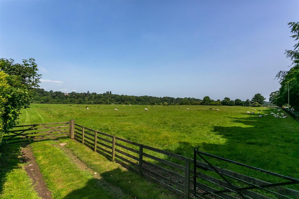 Countryside View