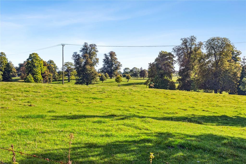 Neighbouring Fields