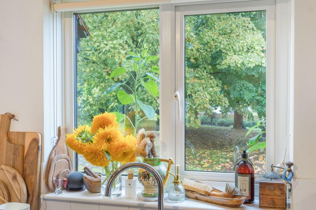 Kitchen Views