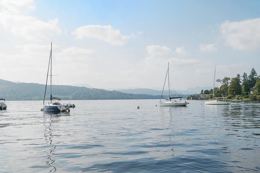 View from lake frontage