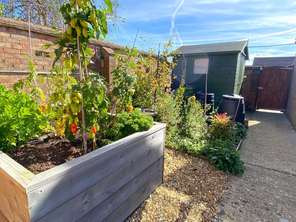 Veg garden