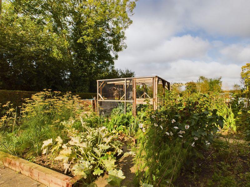 Vegetable Garden