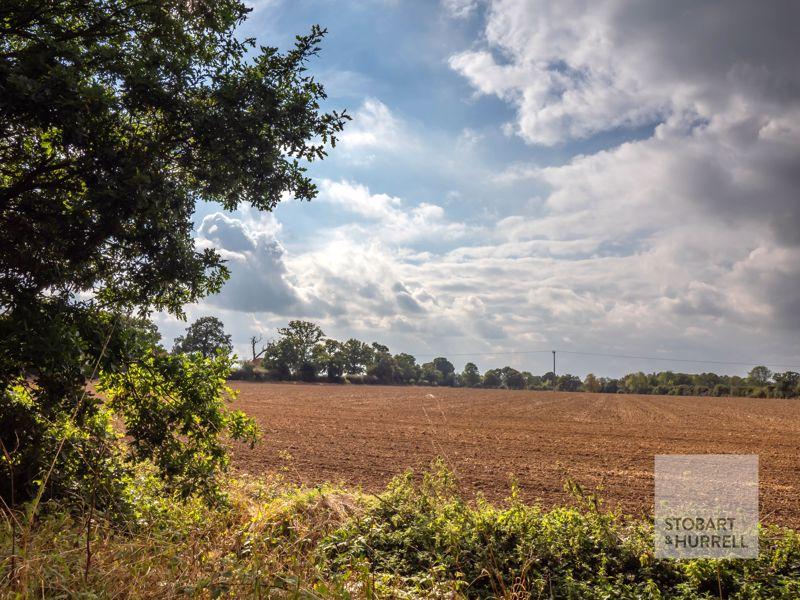 Field Views