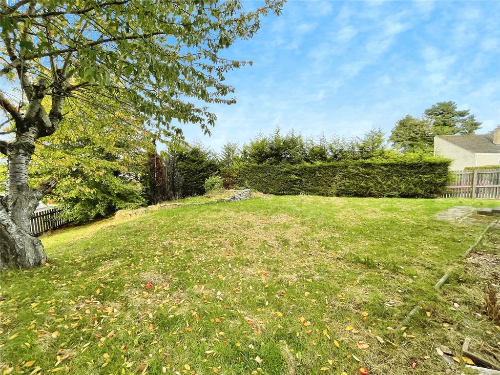 The Garden