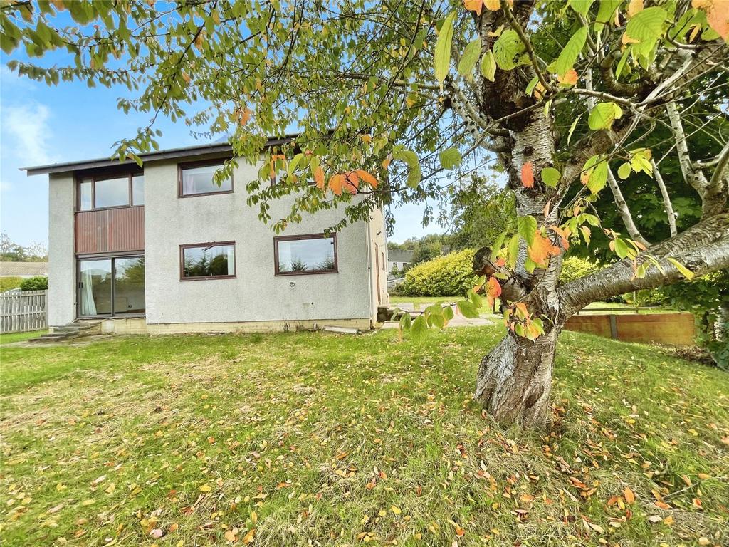 The Property