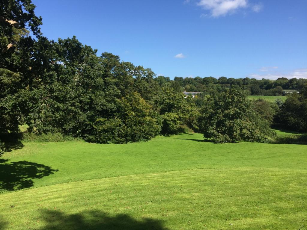 Grounds