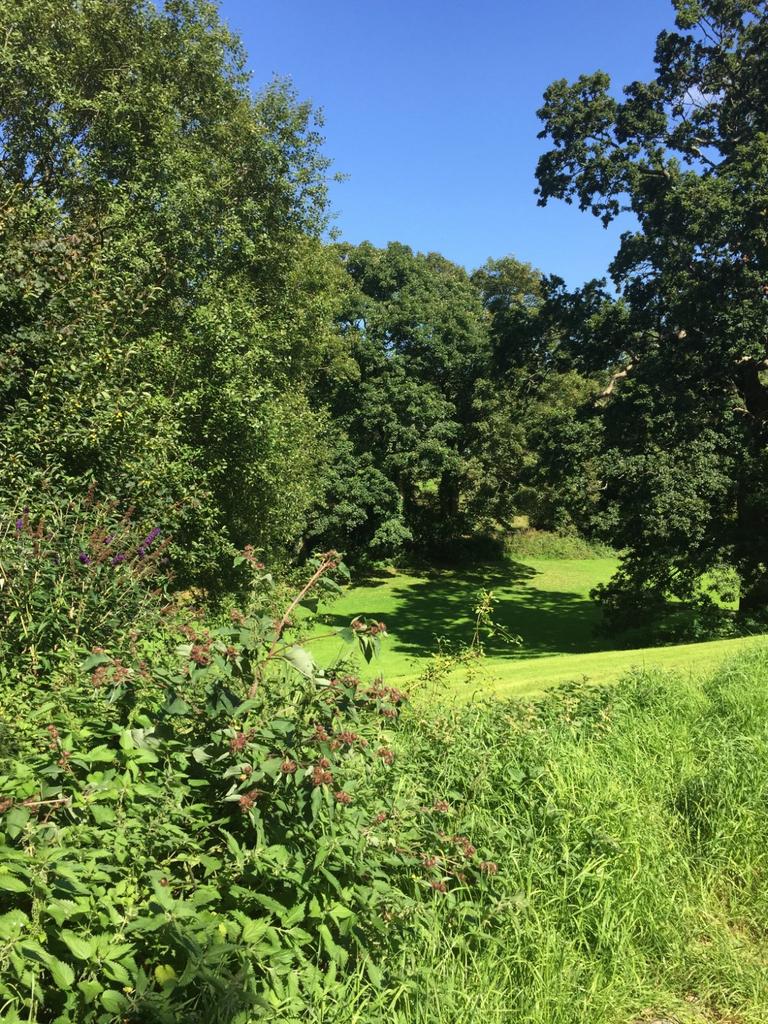 Grounds