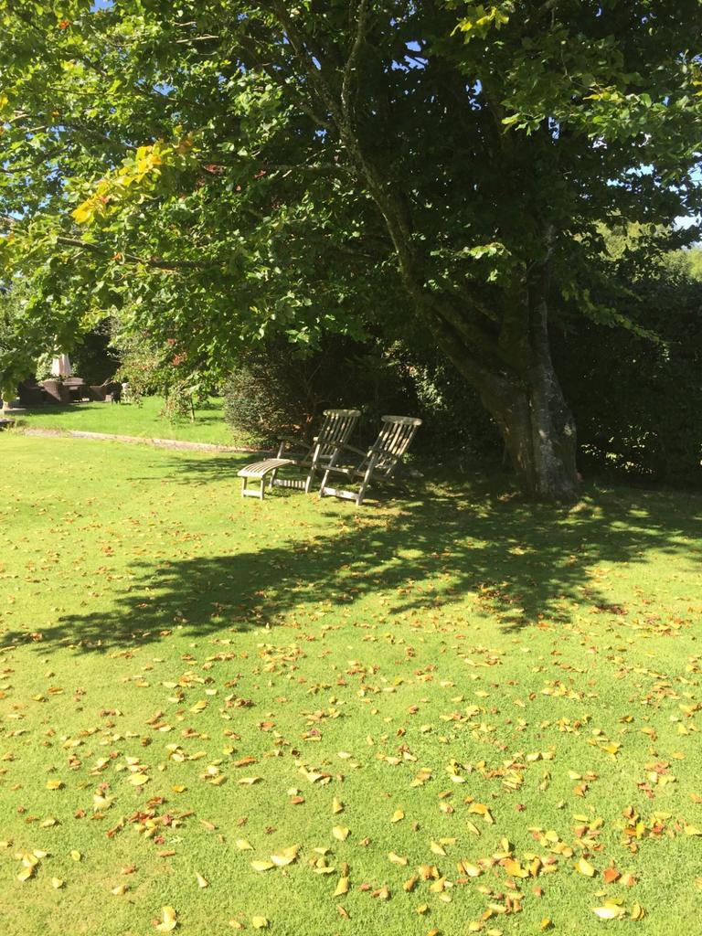 Grounds