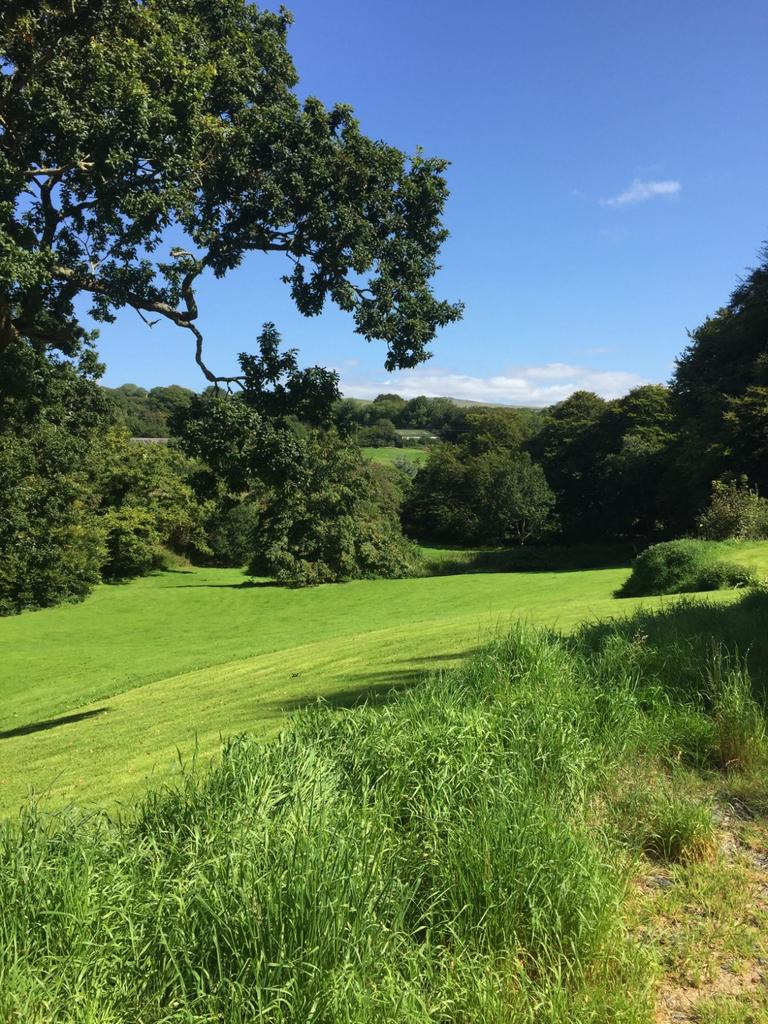 Grounds