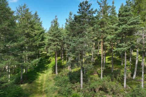 Woodland for sale, Craigmill Forest Estate, Dallas IV36