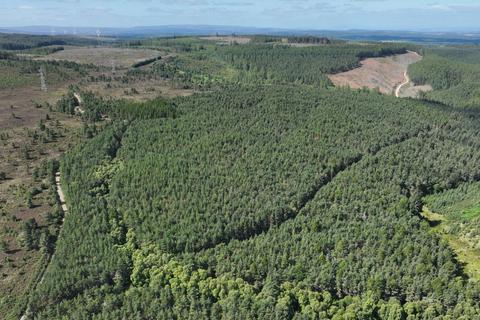 undefined, Craigmill Forest Estate, Dallas IV36