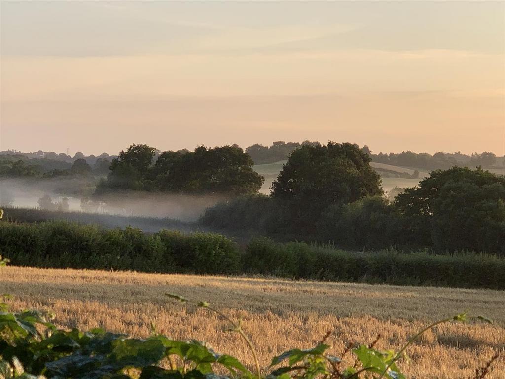 Rear view sun on fields.jpg