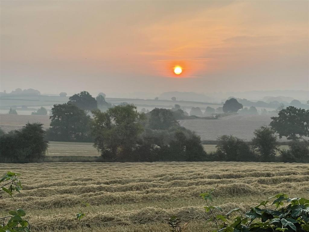 Rear view sunset.jpg