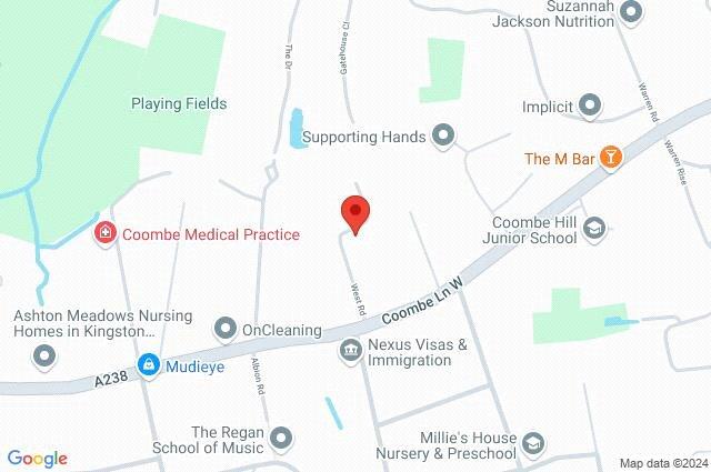 Google Maps Image