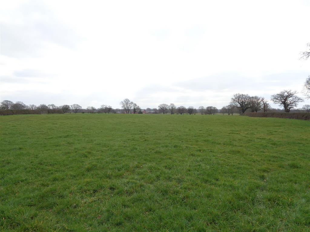Dsc00470.jpg