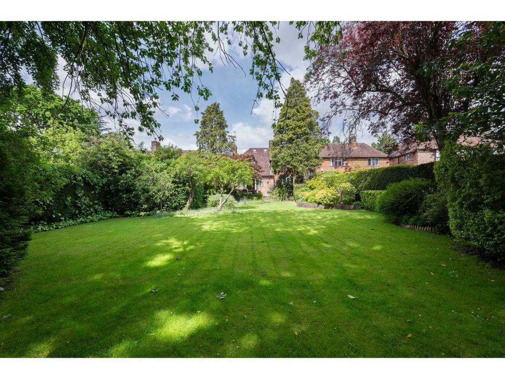 Garden view, garden