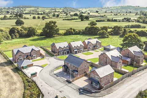 undefined, Breidden View, Llansantffraid