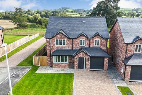undefined, Breidden View, Llansantffraid