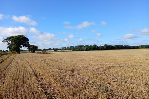 Farm land for sale, Arable Land, Ashby Road, Repps With Bastwick, Great Yarmouth