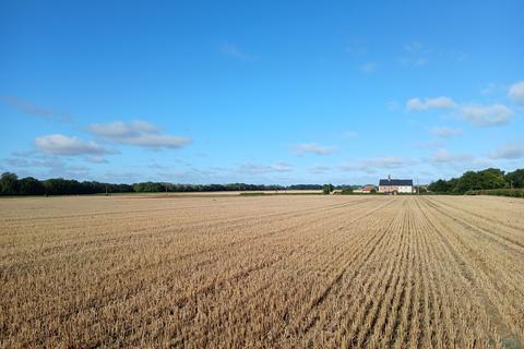 Farm land for sale, Arable Land, Ashby Road, Repps With Bastwick, Great Yarmouth