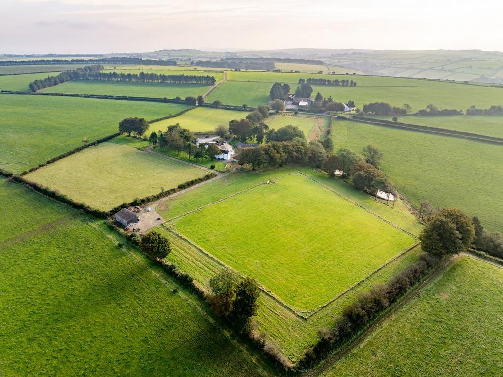 The land