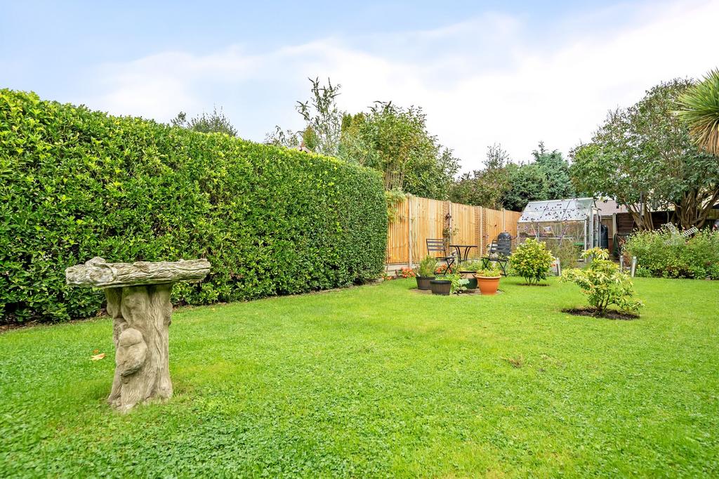 Garden (3)