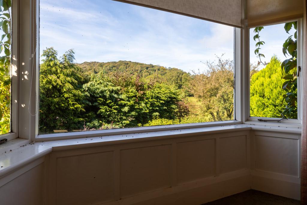 Living Room View