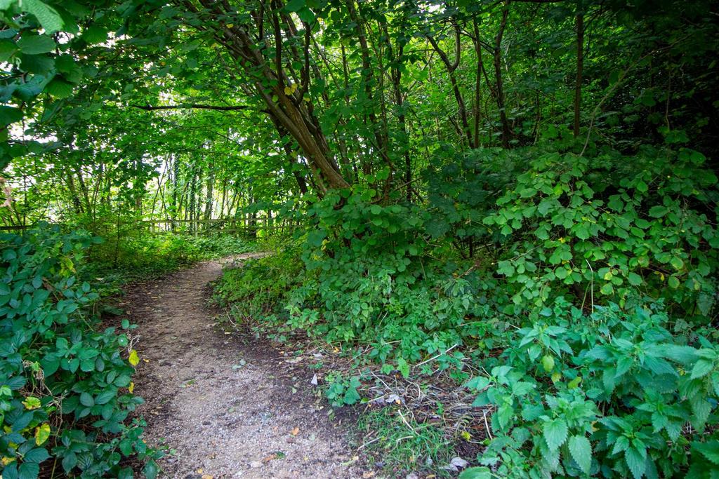 Nature Reserve opposite