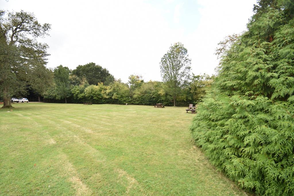 Grounds