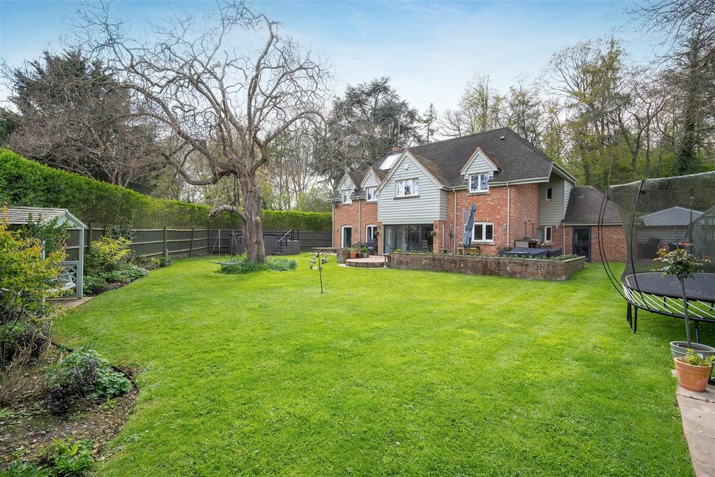 Hazel Shaw-5.jpg