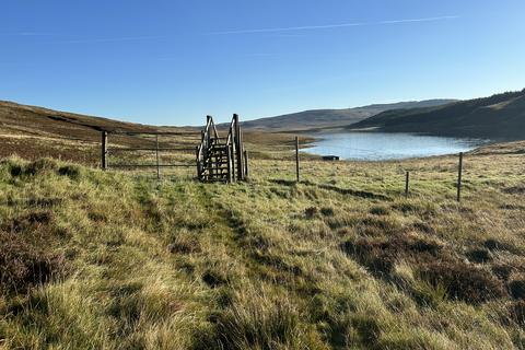 Woodland for sale, Loch Duagrich Hill, Isle of Skye IV56