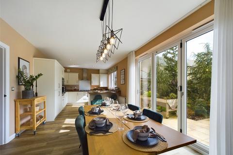 undefined, The Tors, Tavistock, Devon