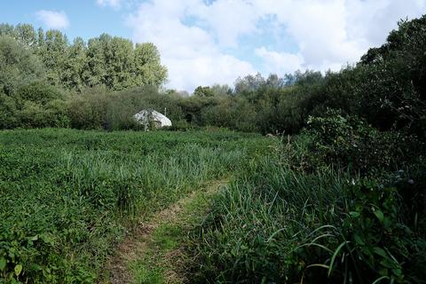 Woodland for sale, Ferry Lane, Postwick NR13
