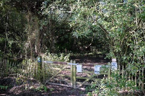 Woodland for sale, Ferry Lane, Postwick NR13