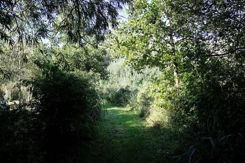 Woodland for sale, Ferry Lane, Postwick NR13