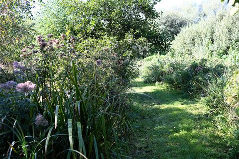 Woodland for sale, Ferry Lane, Postwick NR13