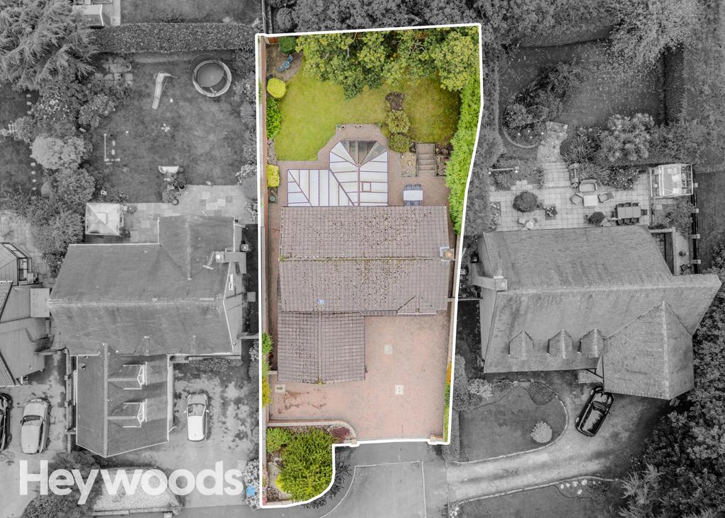 20240924-DJI 0079-Enhanced-SR - Copy